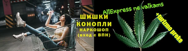 гашик Горняк