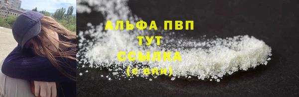 PSILOCYBIN Горнозаводск