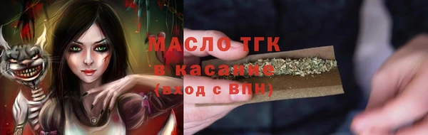 гашик Горняк
