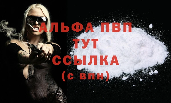 гашик Горняк