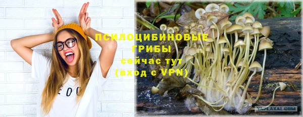 метадон Горно-Алтайск