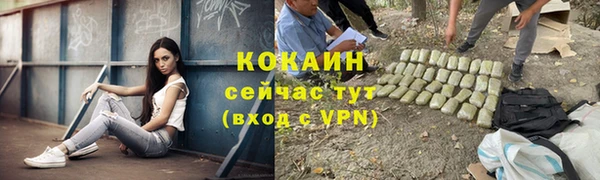 PSILOCYBIN Горнозаводск