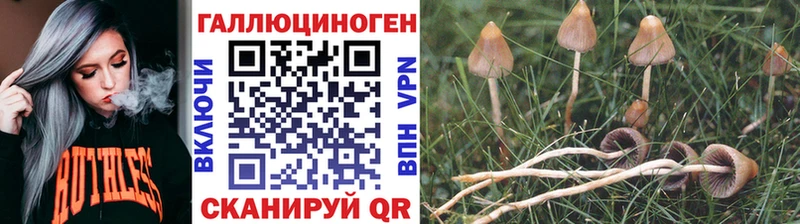 Галлюциногенные грибы мицелий  Дагестанские Огни 