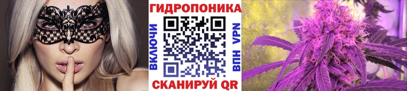 Конопля марихуана blacksprut сайт Дагестанские Огни